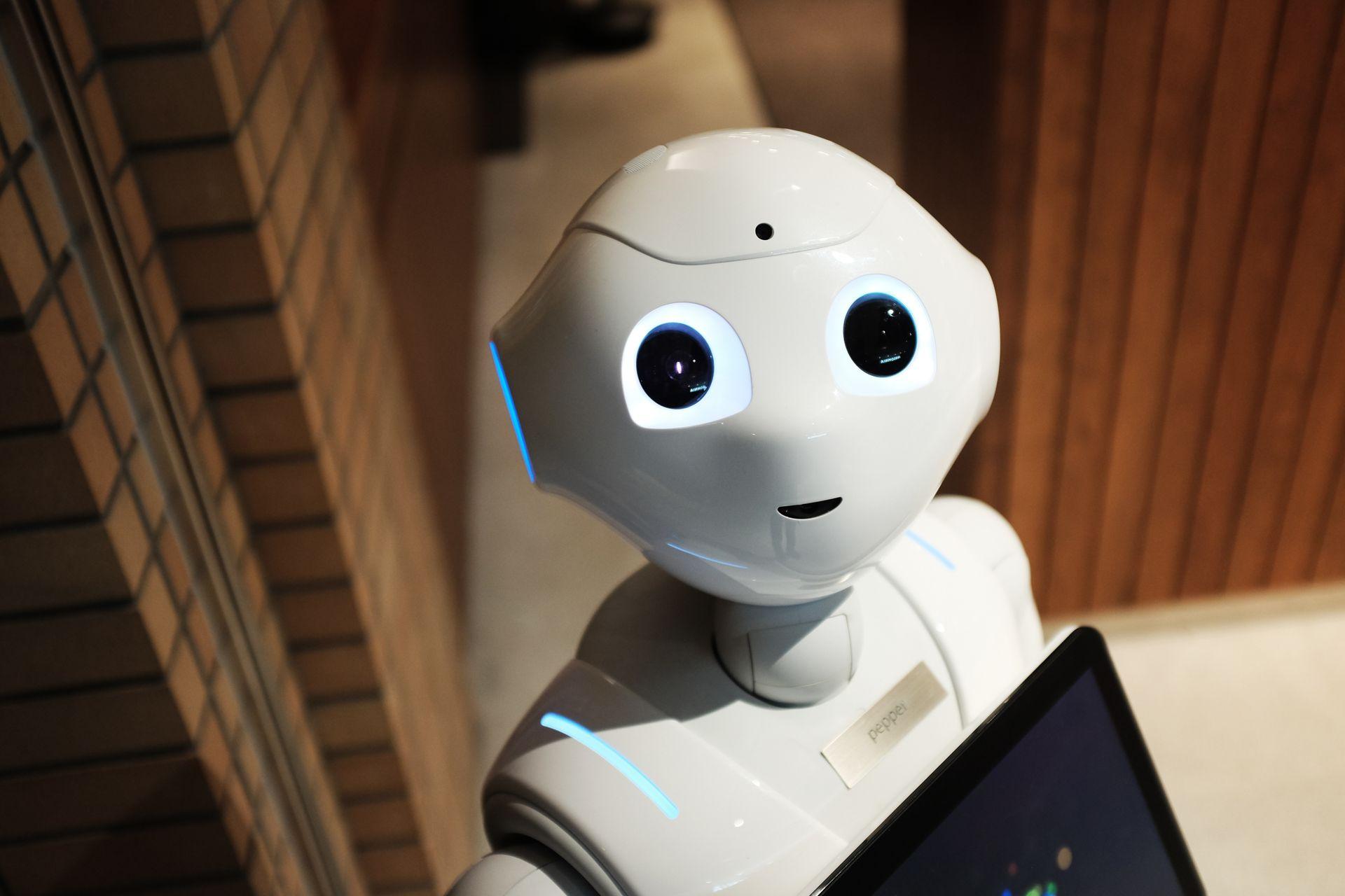 Robocik AI